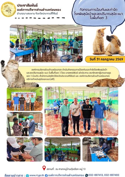 กิจกรรมการป้องกันและกำจัดโรคพิษสุนัขบ้าและลดปริมาณสุนัข-แมว ในพื้นที่เขต 3